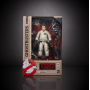 Фигурка Рэймонд Стентс Охотники За Приведениями Ghostbusters Plasma Series Ray Stantz Hasbro E9795