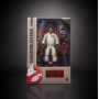 Фигурка Уинстон Зеддемор Охотники за Привидениями Ghostbusters Plasma Series Winston Zeddemore Hasbro E9797