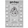 Интерактивная Палочка Лорда Волдеморта Гарри Поттер Lord Voldemort's Wizard Training Wand Harry Potter Jakks 39837