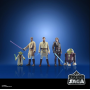 Фигурки Звездные Войны Орден Джедаев Star Wars the Saga Jedi Order Hasbro F1413