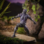 Фигурка Черная Пантера Вибраниум Legends серия Mbaku Black Panther Hasbro E5786