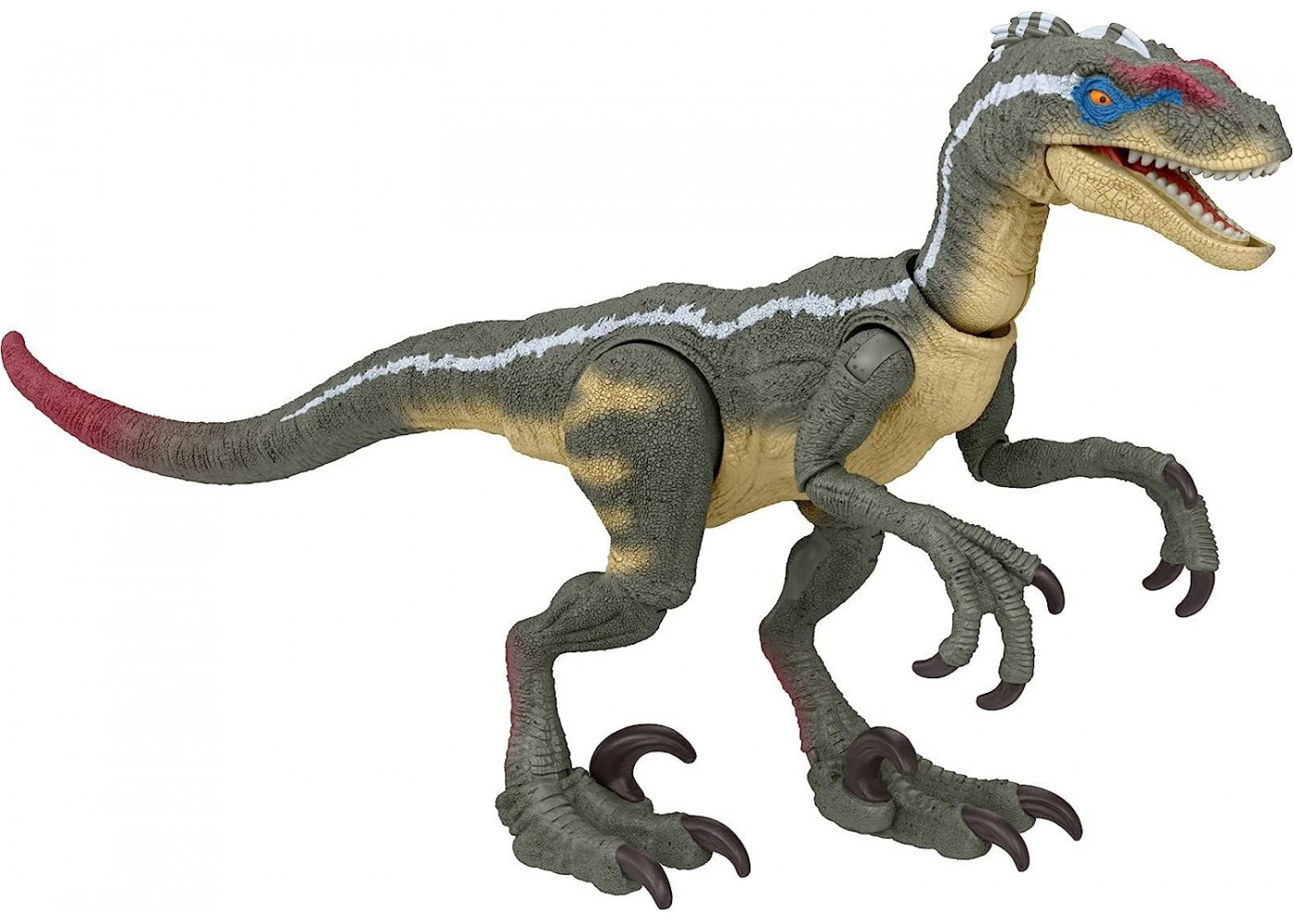 Фигурка Динозавр Велоцираптор Jurassic World Hammond Collection Velociraptor Mattel HLT49