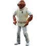 Фігурка Адмірал Акбар Зоряні Війни The Black Series Star Wars Admiral Ackbar Hasbro E9356