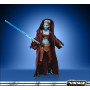 Фігурка Ейла Секура Війна Клонів Зіркові Війни Star Wars Vintage Clone Wars Aayla Secura Hasbro F5414