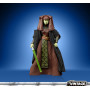 Фигурка Луминара Ундули Война Клонов Звездные Войны Star Wars Vintage Clone Wars Luminara Unduli Hasbro F5416