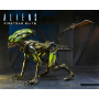 Фігурка Чужий Еліта Бойової Групи Aliens Fireteam Elite Series 2 Neca 51724