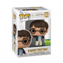 Фигурка Фанко Гарри Поттер №173 Harry Potter Limited Edition Funko 78304