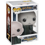 Фігурка Фанко Лорд Воландеморт №06 Harry Potter Lord Voldemort Funko FN5861