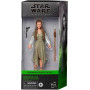 Фігурка Принцеса Лея Зоряні війни Star Wars Black Series Princess Leia (Ewok Village) Hasbro F4352