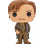 Фігурка Фанко Ремус Люпин №45 Гаррі Поттер Harry Potter Remus Lupin Funko 14939