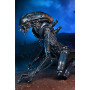 Фігурка Чужий Арахноїд Arachnoid Alien vs Predator NECA 51720