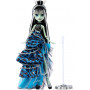Кукла Монстер Хай Фрэнки Штейн с Аксессуарами Monster High Frankie Stein Mattel HRL66