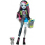 Кукла Монстер Хай Фрэнки Штейн с аксессуарами Monster High Frankie Stein and Accessories Mattel HXH73