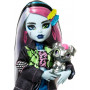 Кукла Монстер Хай Фрэнки Штейн с аксессуарами Monster High Frankie Stein and Accessories Mattel HXH73