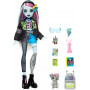 Кукла Монстер Хай Фрэнки Штейн с аксессуарами Monster High Frankie Stein and Accessories Mattel HXH73