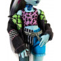 Кукла Монстер Хай Фрэнки Штейн с аксессуарами Monster High Frankie Stein and Accessories Mattel HXH73