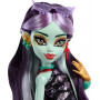 Кукла Монстер Хай Джинафайр Лонг с аксессуарами Monster High Jinafire Long Mattel HYV58