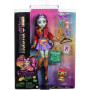 Кукла Монстер Хай Джинафайр Лонг с аксессуарами Monster High Jinafire Long Mattel HYV58
