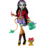 Кукла Монстер Хай Джинафайр Лонг с аксессуарами Monster High Jinafire Long Mattel HYV58