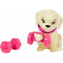 Лялька Барбі Спортсменка з Цуценям Barbie Workout with Pet Puppy Mattel HKT91