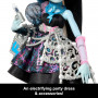 Лялька Монстер Хай Френкі (Уцінка) Солодкий День Народження Monster High Frankie Stein Birthday Mattel BJBG75