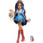 Кукла Монстер Хай Робекка Стим с Питомцем Monster High Robecca Steam Mattel JMB81