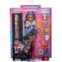 Кукла Монстер Хай Робекка Стим с Питомцем Monster High Robecca Steam Mattel JMB81