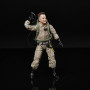 Фигурка Охотники за Привидениями Рэй Станц Ghostbusters Ray Stantz Hasbro F1330
