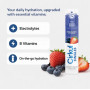 Стик Cirkul со Вкусом Ягодный Микс 1 шт FitSip Mixed Berry Flavor Singles Electrolyte Cirkul 41493-1